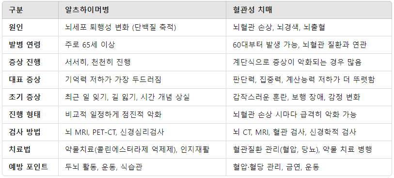 알츠하이머병과 혈관성 치매의 차이점 – 유형별 특징과 관리법
