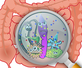 장내-세균-활동