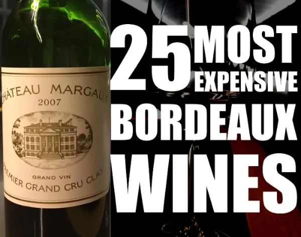 보르도 와인 Bordeaux wine