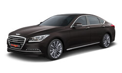 제네시스 G330 색상 코드 - 탠 브라운(색상 코드 : YN6)