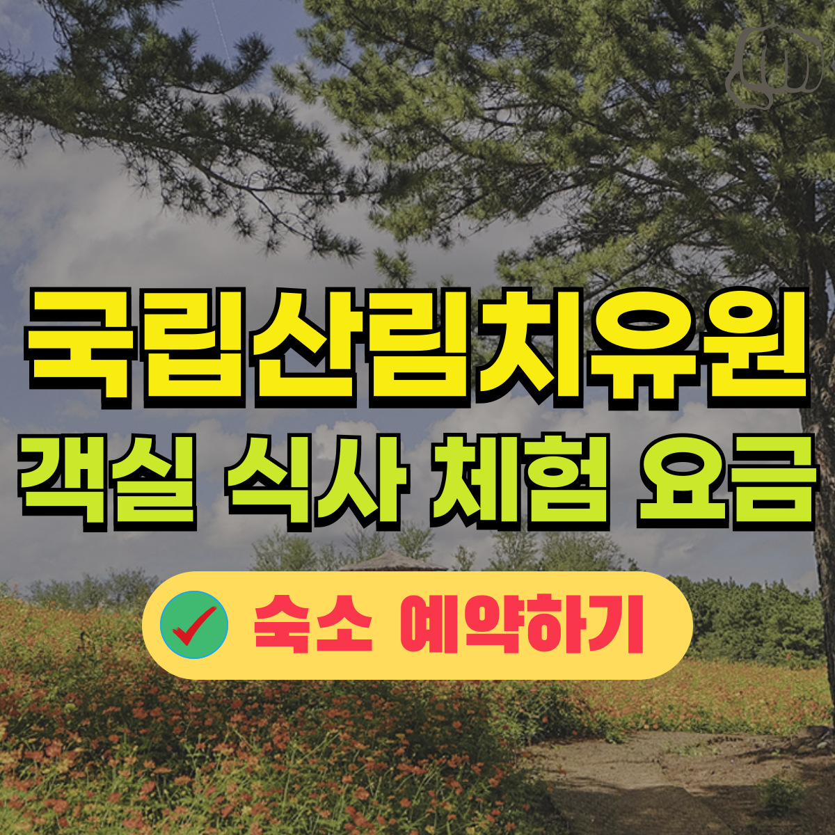 국립산림치유원 요금 객실 식사 체험프로그램 가는 방법