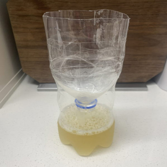 페트병으로 초파리 트랩을 만들었습니다.