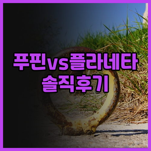 호텔 푸핀 vs 가르니 호텔 플라네타..