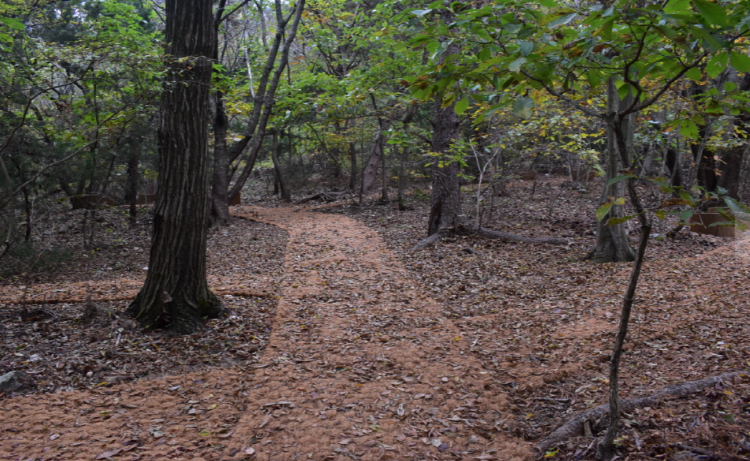 내장산 생태탐방원