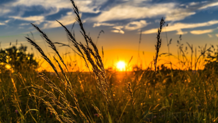 주말농장 작물추천 관련 사진