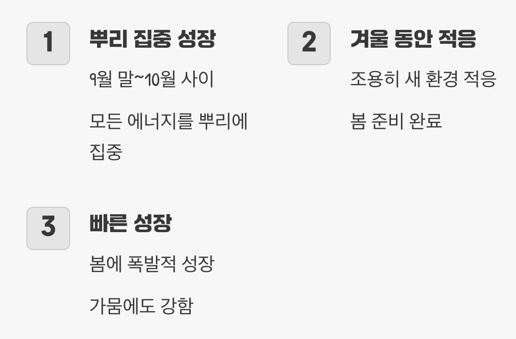 &amp;#39;가을 식재&amp;#39;의 장점: 한발 앞선 성장