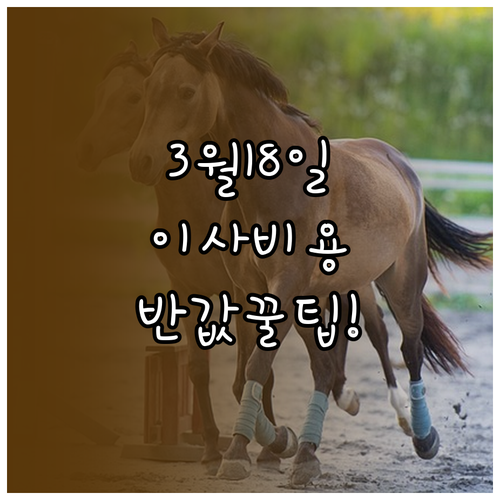 손 없는 날 이사 비용 절약 팁과 3..