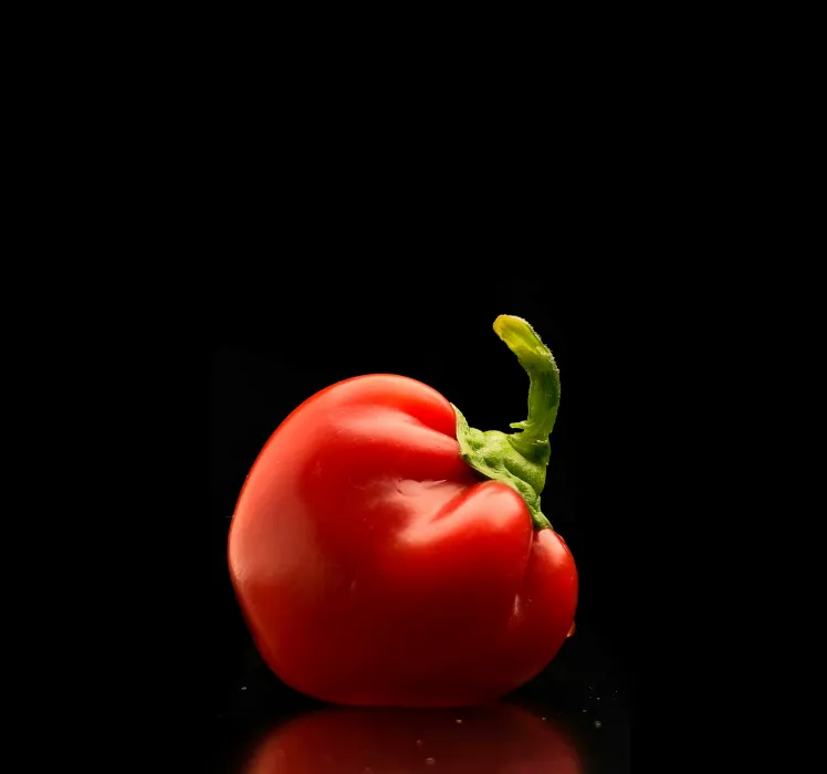 파프리카-사진