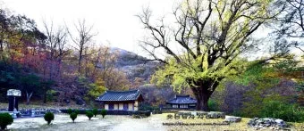 경주 가볼만한곳 베스트10 황리단길 대릉원 야경 산책로 추천_20