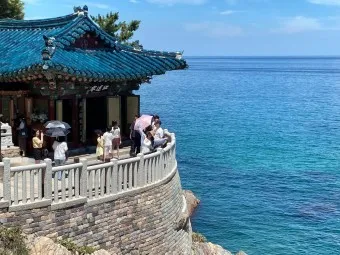 양양 맛집 베스트10 현지인 블루리본 맛집_12