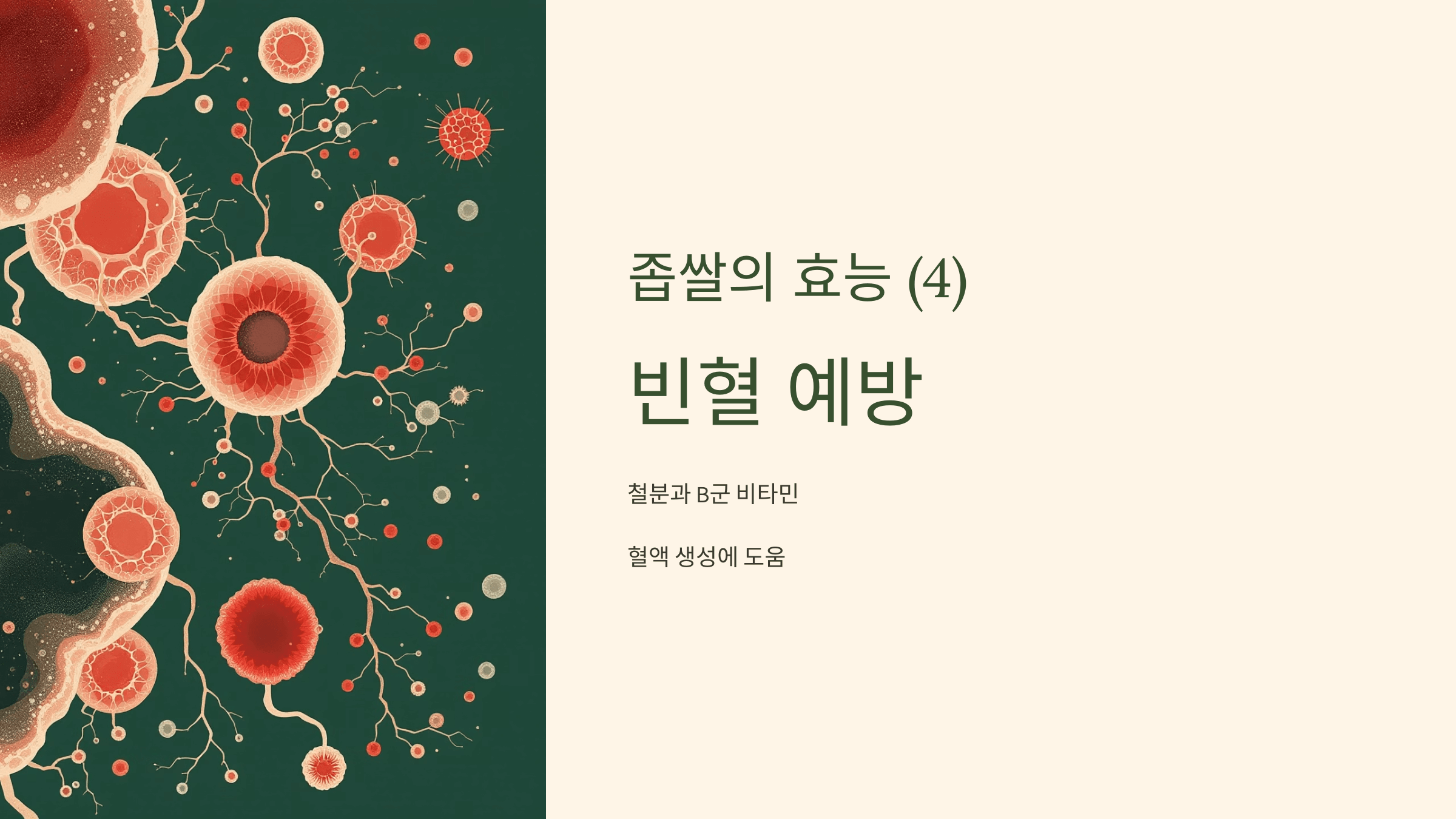 좁쌀 사진입니다.