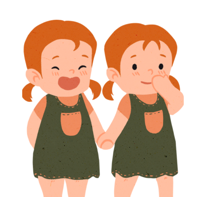 쌍둥이 꿈 해석