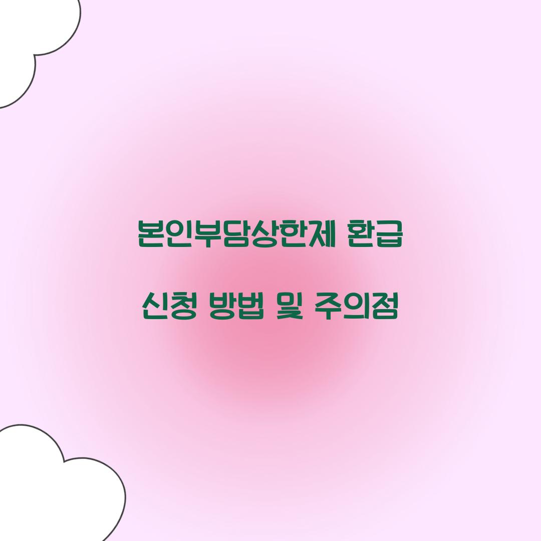 본인부담상한제 환급 신청