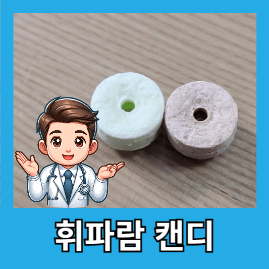 토네이도 매직 휘슬 캔디 맛 휘파람 캔디 가격 후기