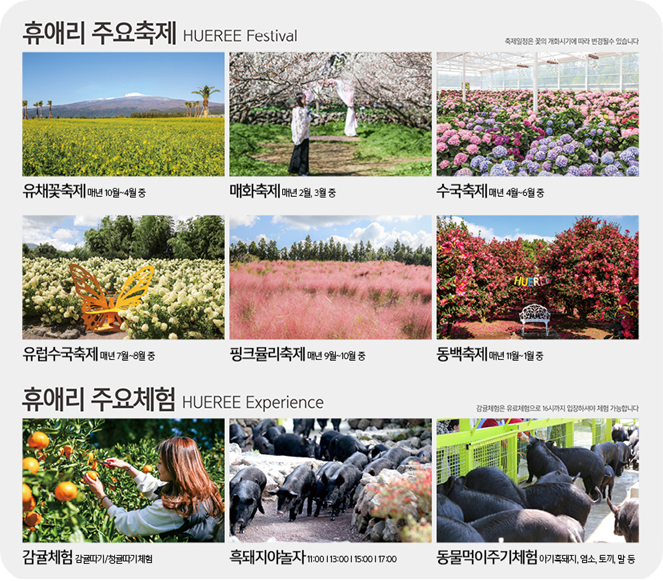 휴애리 주요축제 이미지 출처: 휴애리 홈페이지