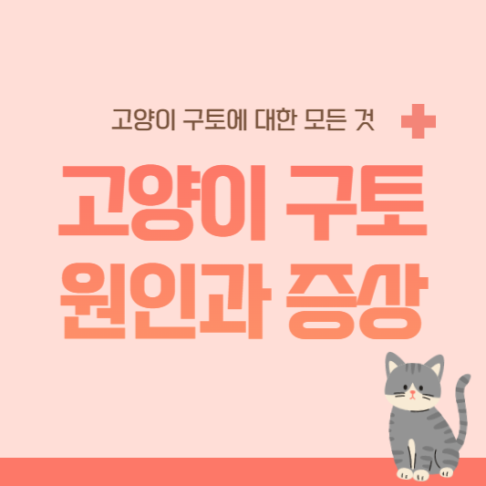 고양이 구토 원인