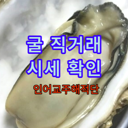 인어교주해적단