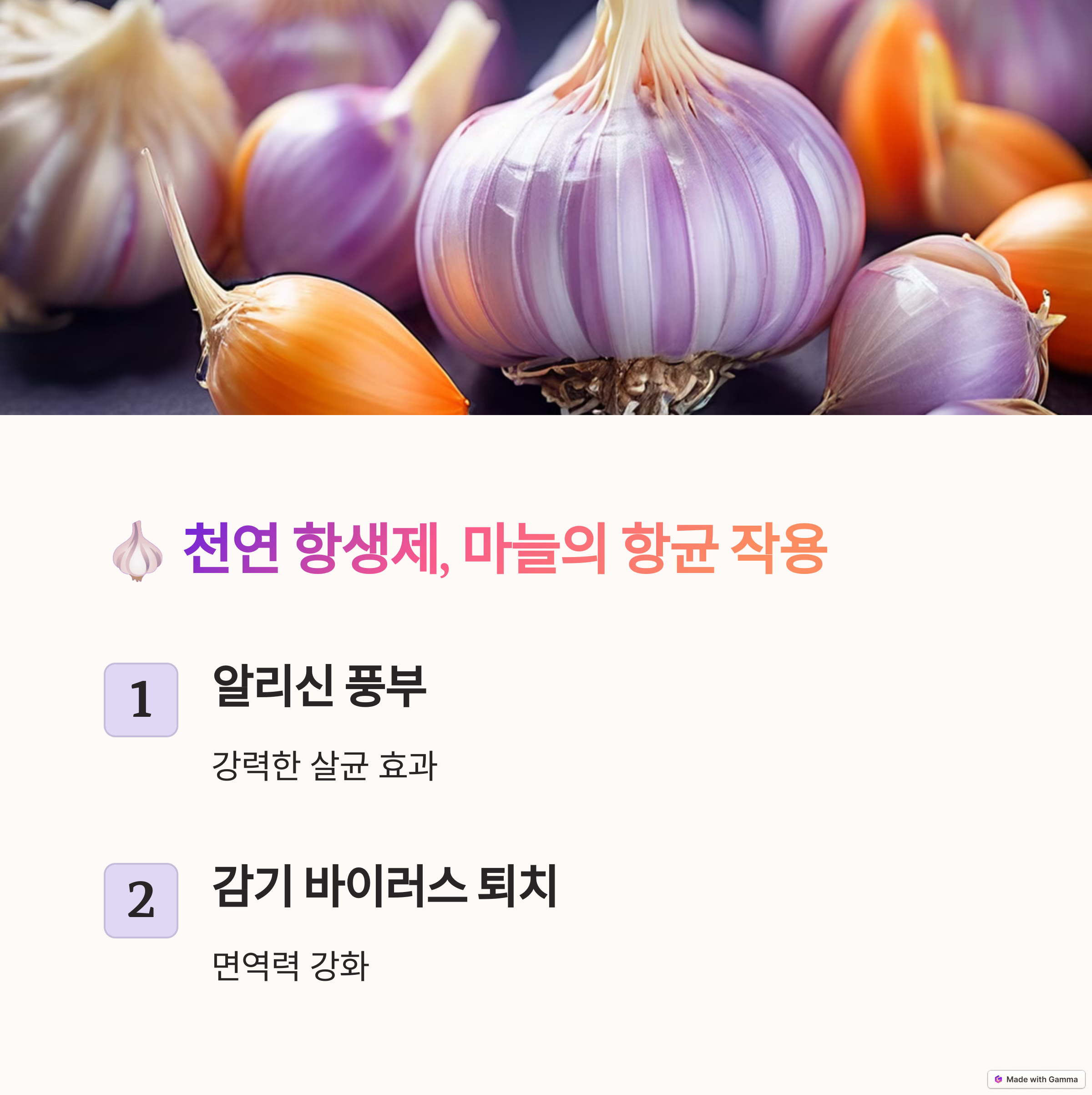 마늘 이미지
