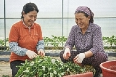 밭농업 직불금 신청자격