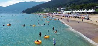 🐠 [국내여행과 스킨스쿠버] 핫플 BEST 10