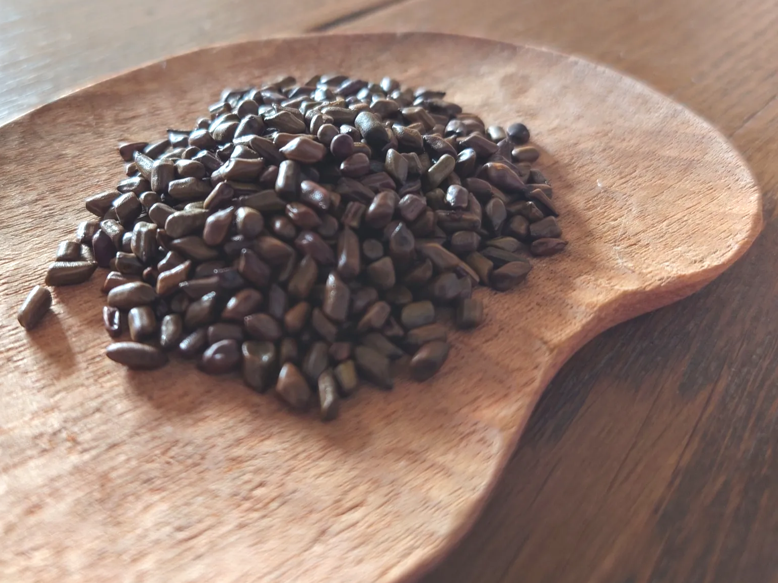 결명자차 혈당 급상승 억제 효능