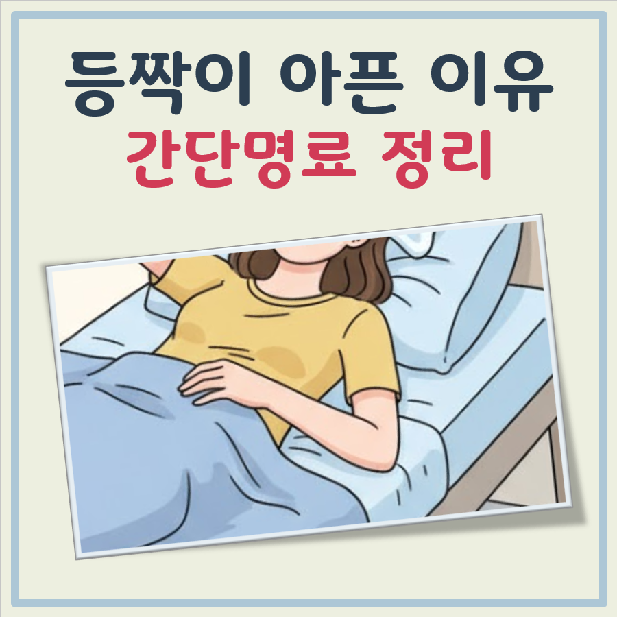 등짝이 아픈이유 정리 대표 이미지