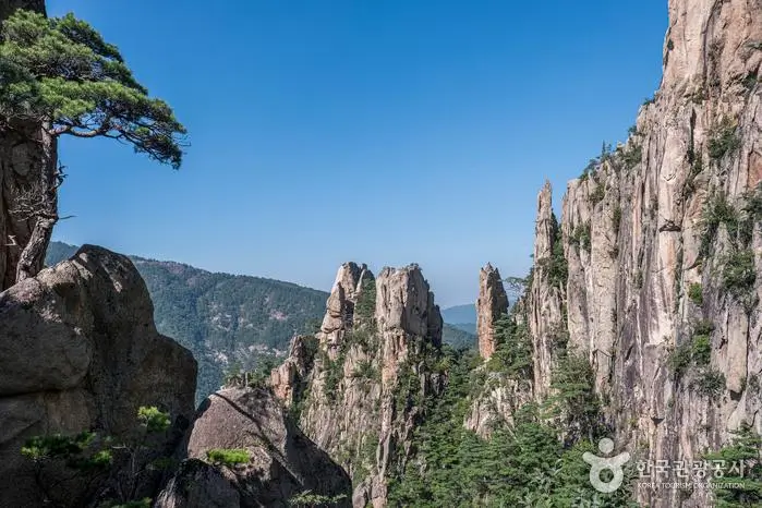 aaab31ae-5175-4598-ab0b-3dbef2031583