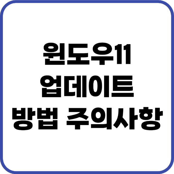 윈도우11 업데이트