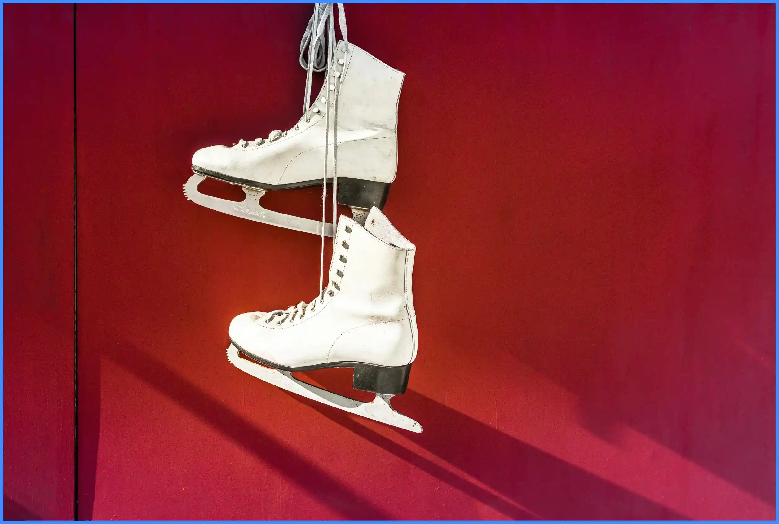 스피드스케이팅 월드컵 일정 및 개최지