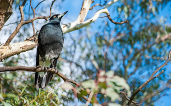 검버섯 없애는 방법 완벽 정리 7