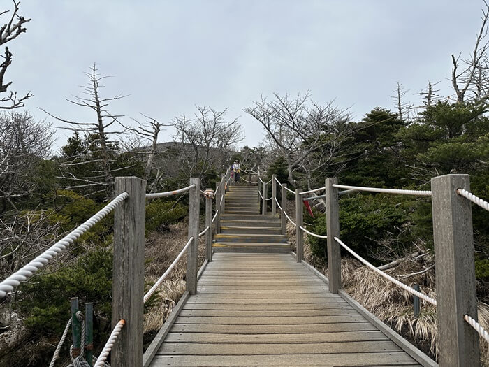 한라산-등반-성판악코스