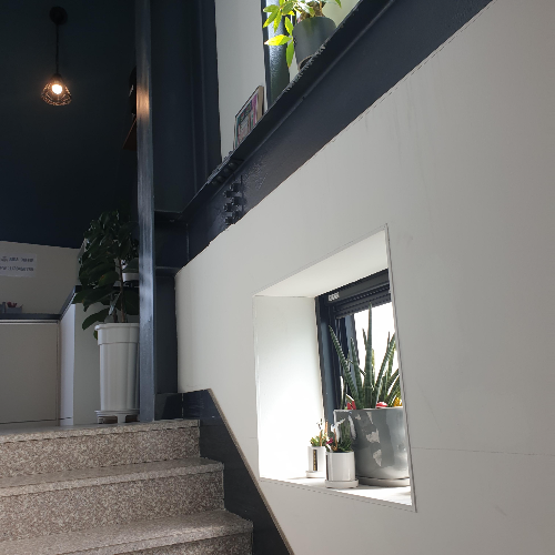 강릉 카페 '주가커피': 직접 로스팅한 스페셜티 커피를 맛볼 수 있는 카페_2층 계단의 화분