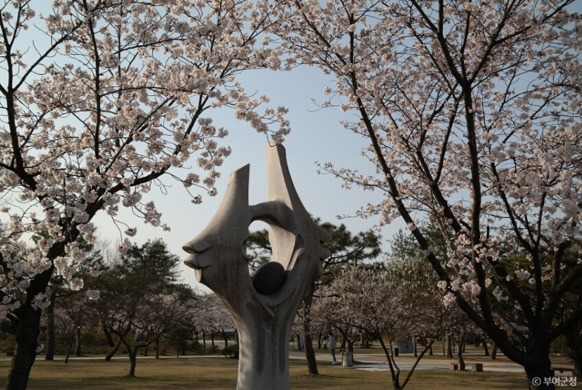 부여 가볼만한곳 베스트10