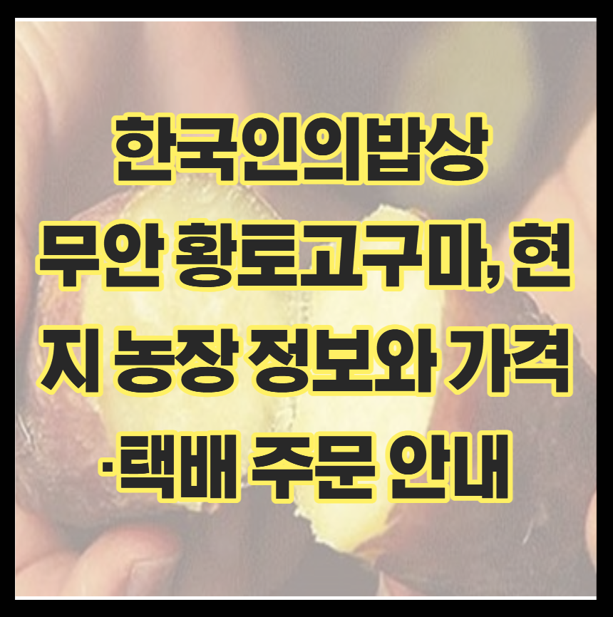 한국인의밥상 속 무안 황토고구마, 현지 농장 정보와 가격&middot;택배 주문 안내
