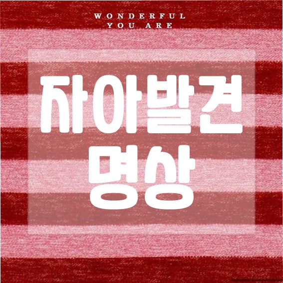 자아발견명상 완벽 정리: 내면을 찾는 여정
