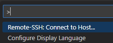 Remote-SSH: Connect to Host… 선택