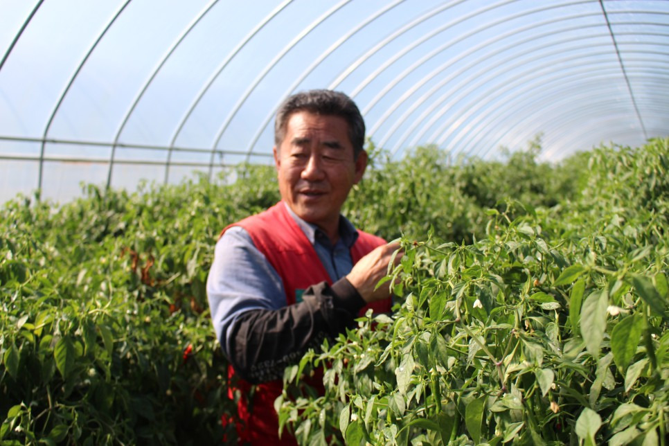 2025 음성명작페스티벌&amp;#44; 명품 먹거리축제