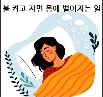 불 켜고 자면 몸에 벌어지는 일
