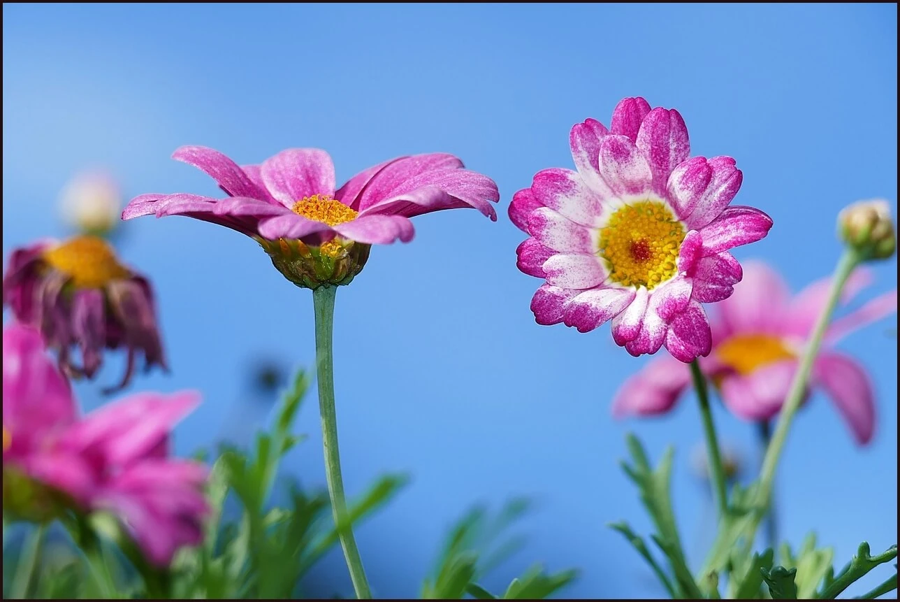 예금이자 가장 높은 은행