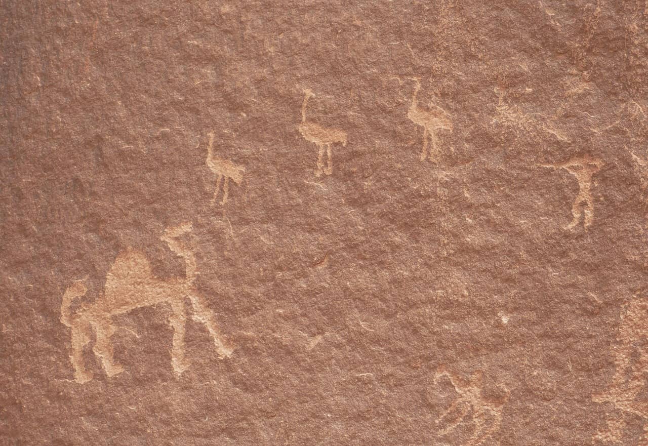 사하라 사막의 동물 벽화 &mdash; 모래 아래 잠든 문명의 기억