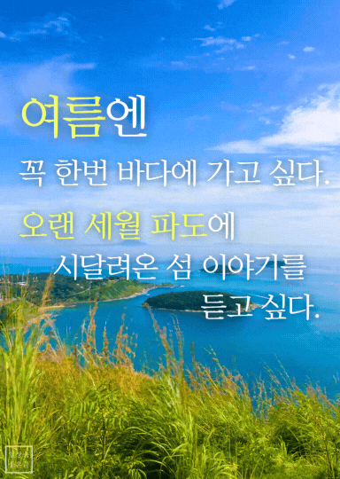 여름엔 바다에 가고 싶다는 시 이미지