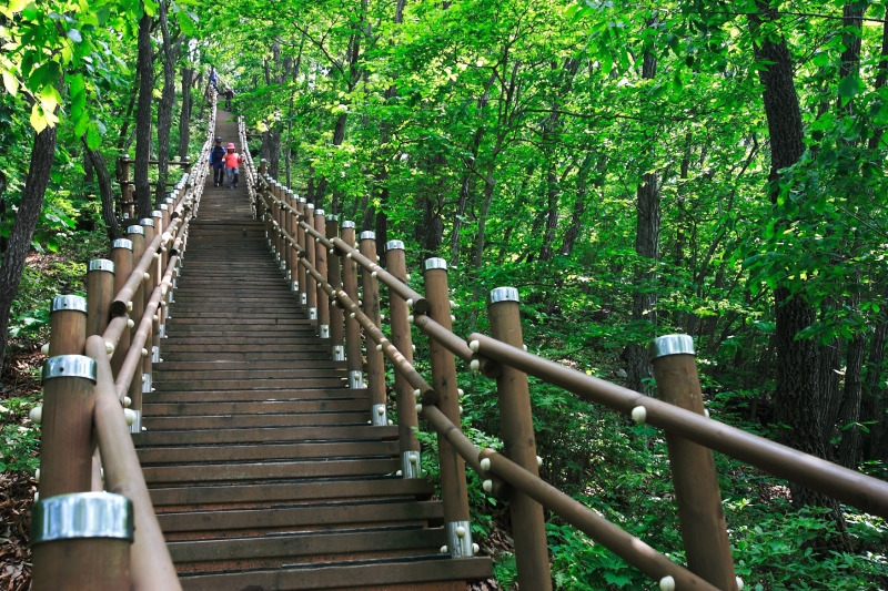 칠갑산 등산코스 지도