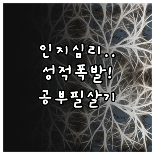 인지 심리학 기반 정교화 조직화 메타..