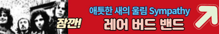 레어버드 밴드