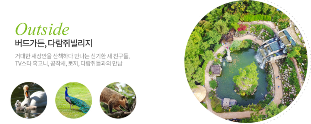 전국 벚꽃 봄꽃 축제 추천 Best 5