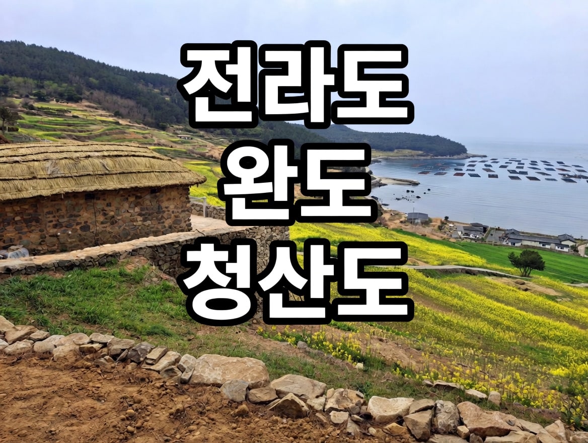 전라도 완도 청산도 축제 시간 교통 투어