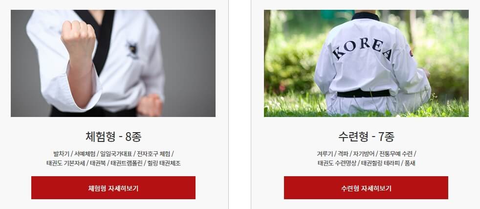 태권도원체험프로그램