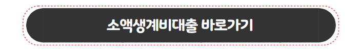 정부지원대출 소액생계비대출
