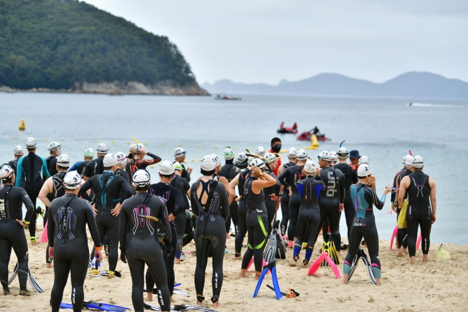 거제여름해양축제