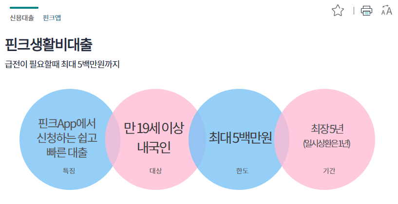 비대면대출